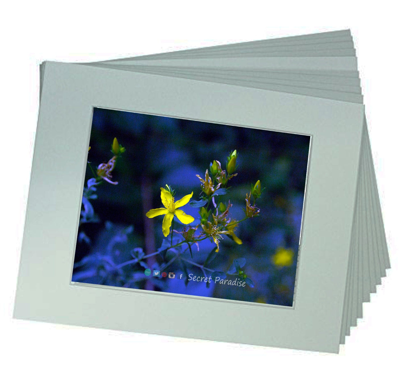 ART Prints! Secret Paradise Garden