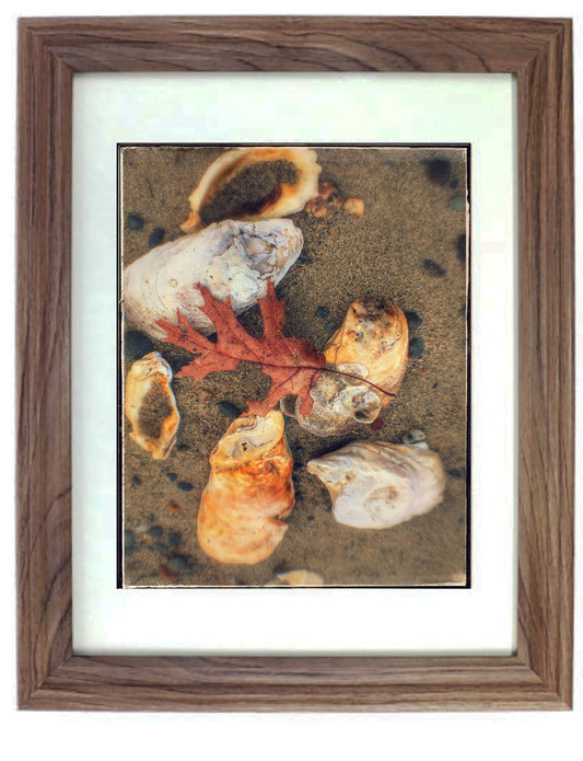 Beach Art Prints - From a Secret Paradise - Driftwood Beach Wall Frame