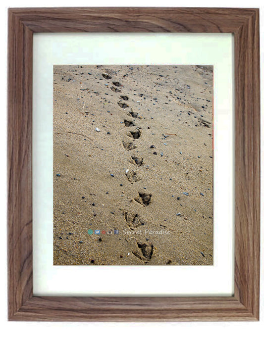 Beach Art Prints - From a Secret Paradise - Driftwood Beach Wall Frame