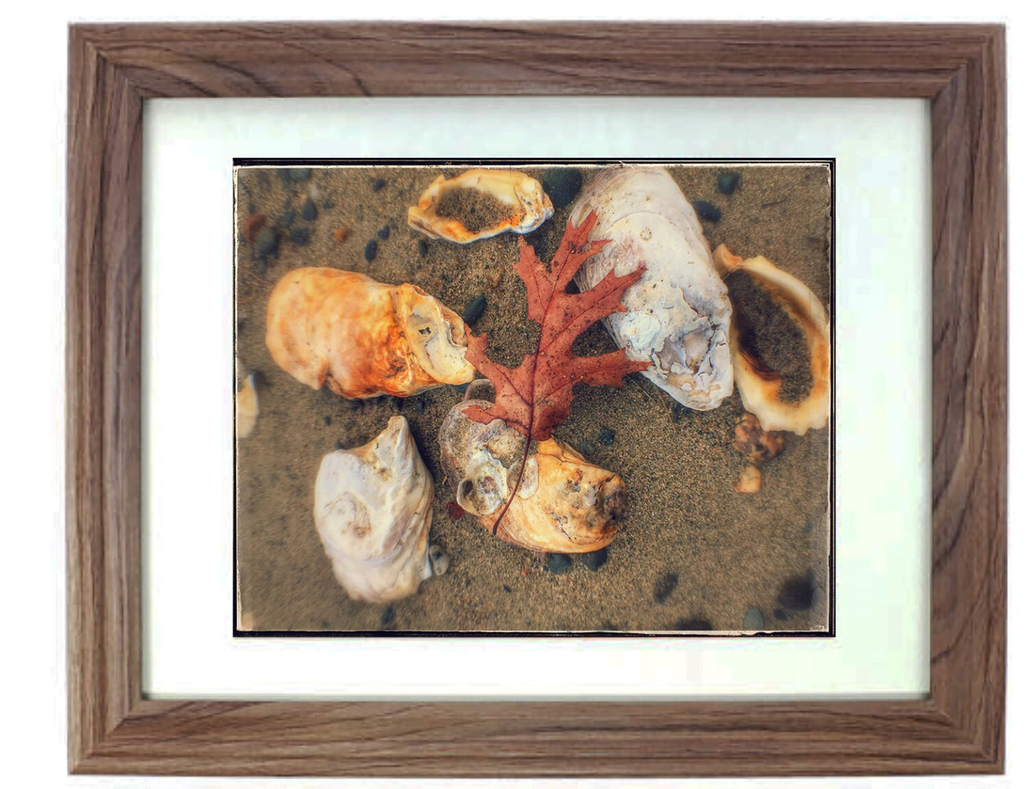Beach Art Prints - From a Secret Paradise - Driftwood Beach Wall Frame