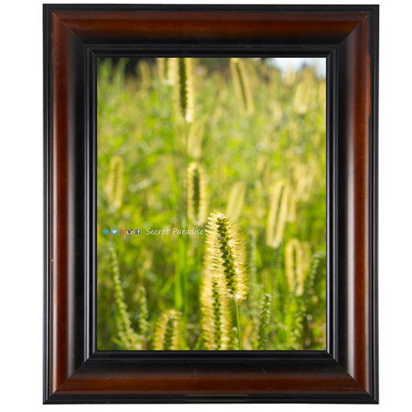 Art From a Secret Paradise - Cherry Framed Art - The Babies