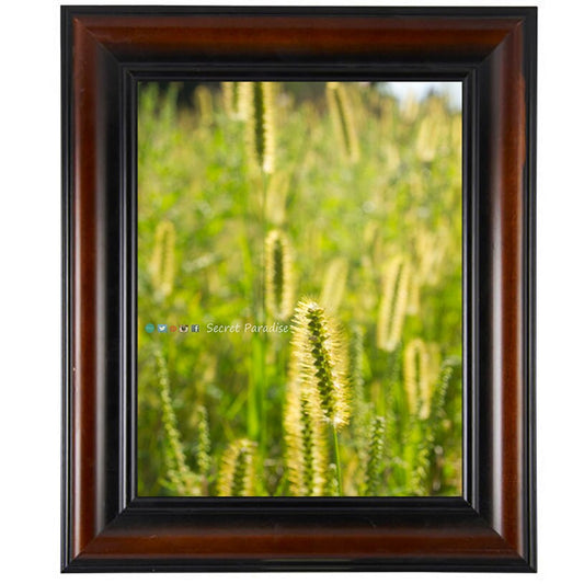 Art From a Secret Paradise - Cherry Framed Art - The Babies