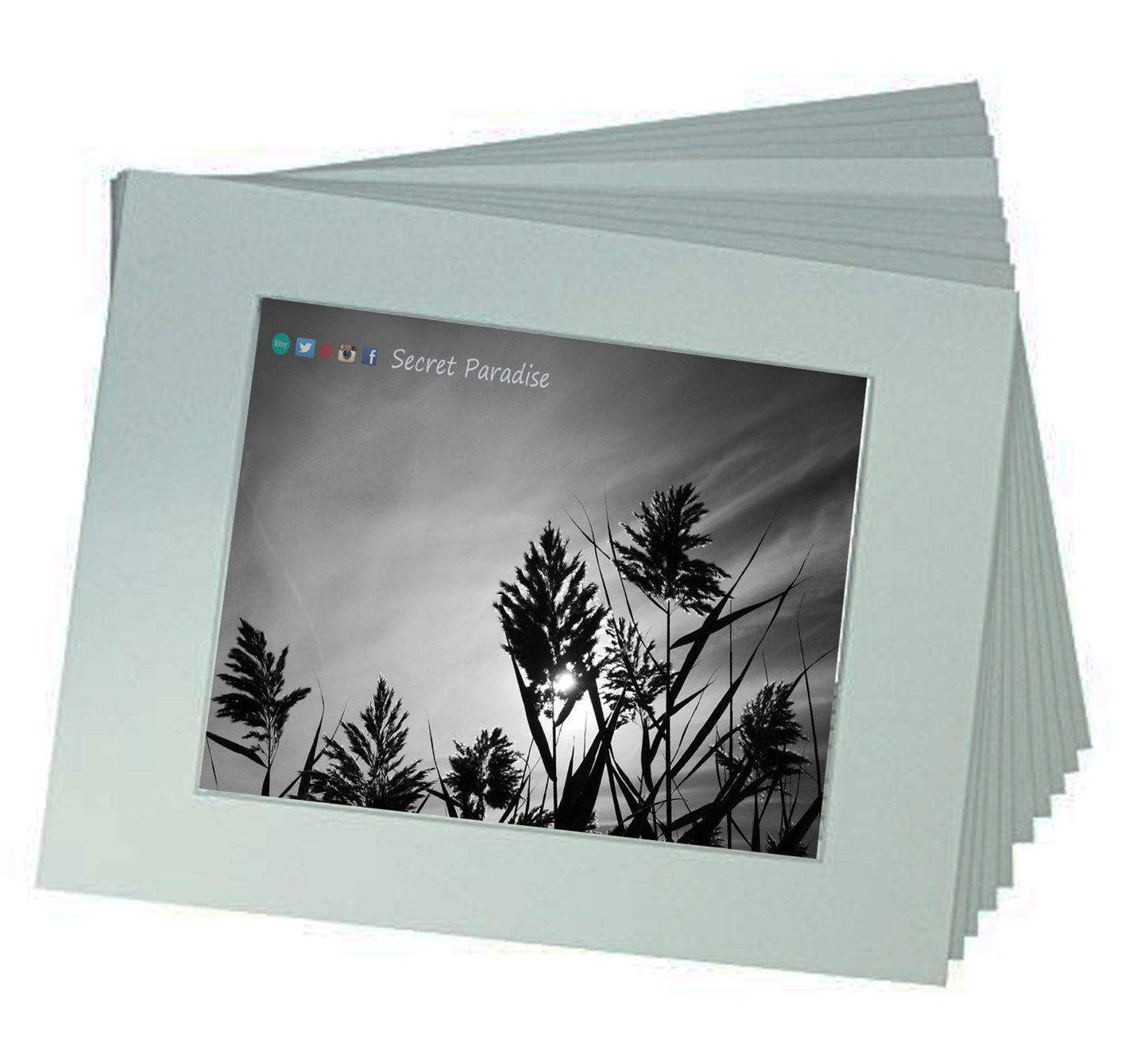 Art Prints -B&W from Secret Paradise Shop1