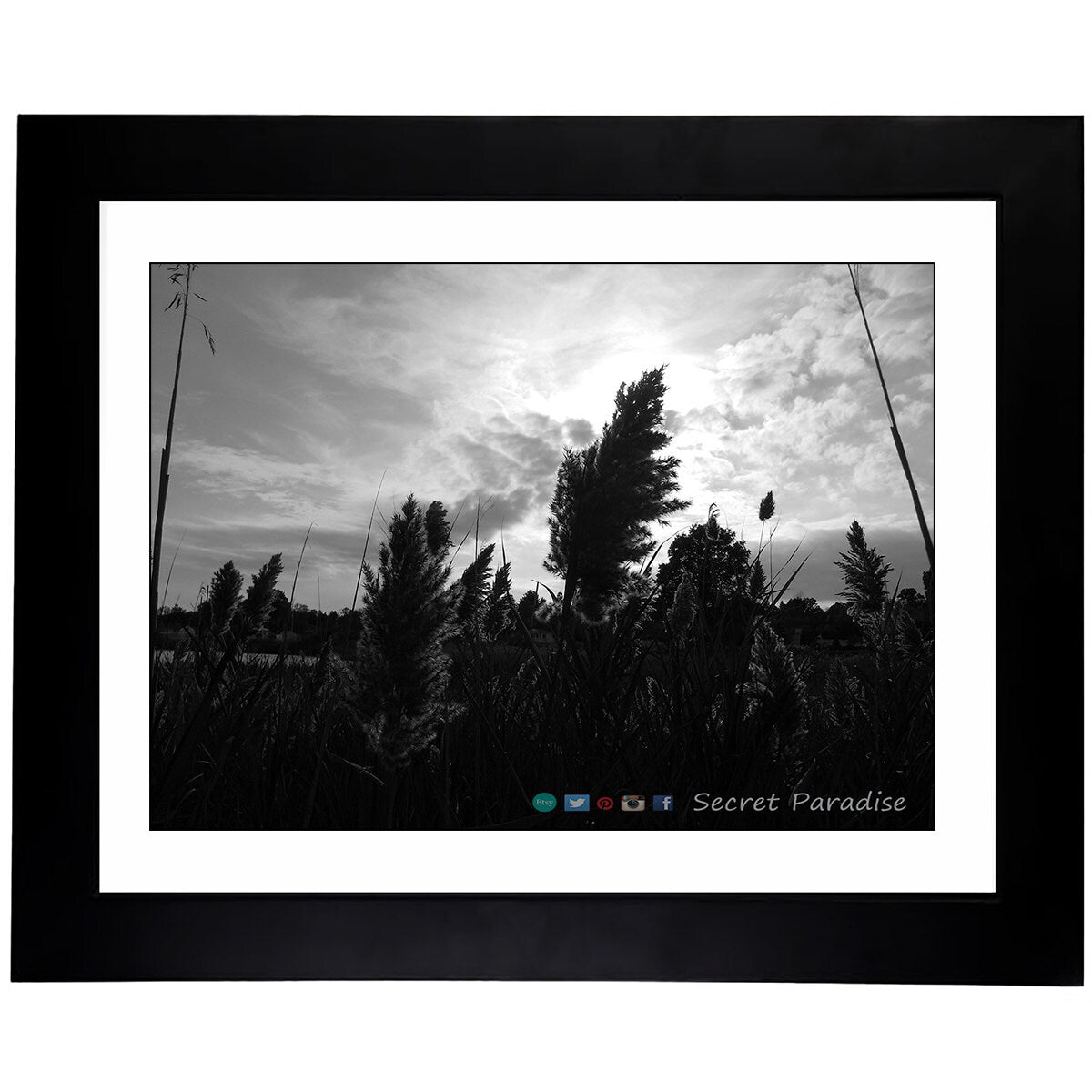 Black & White Art Photography - From a Secret Paradise gallery - Framed Tree Art