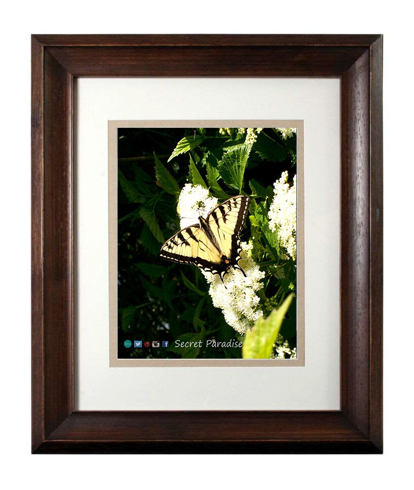 Wall Art Photography - From a Secret Paradise - Walnut Framed Art