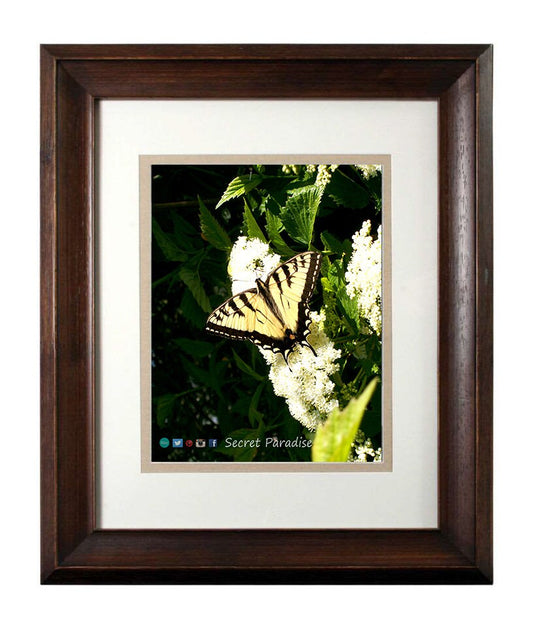 Wall Art Photography - From a Secret Paradise - Walnut Framed Art