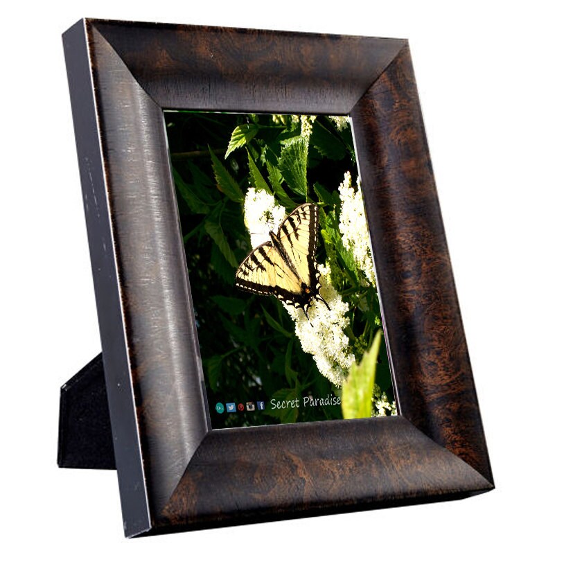 Framed Art Photography - Butterfly, a Secret Paradise - Burl Frames