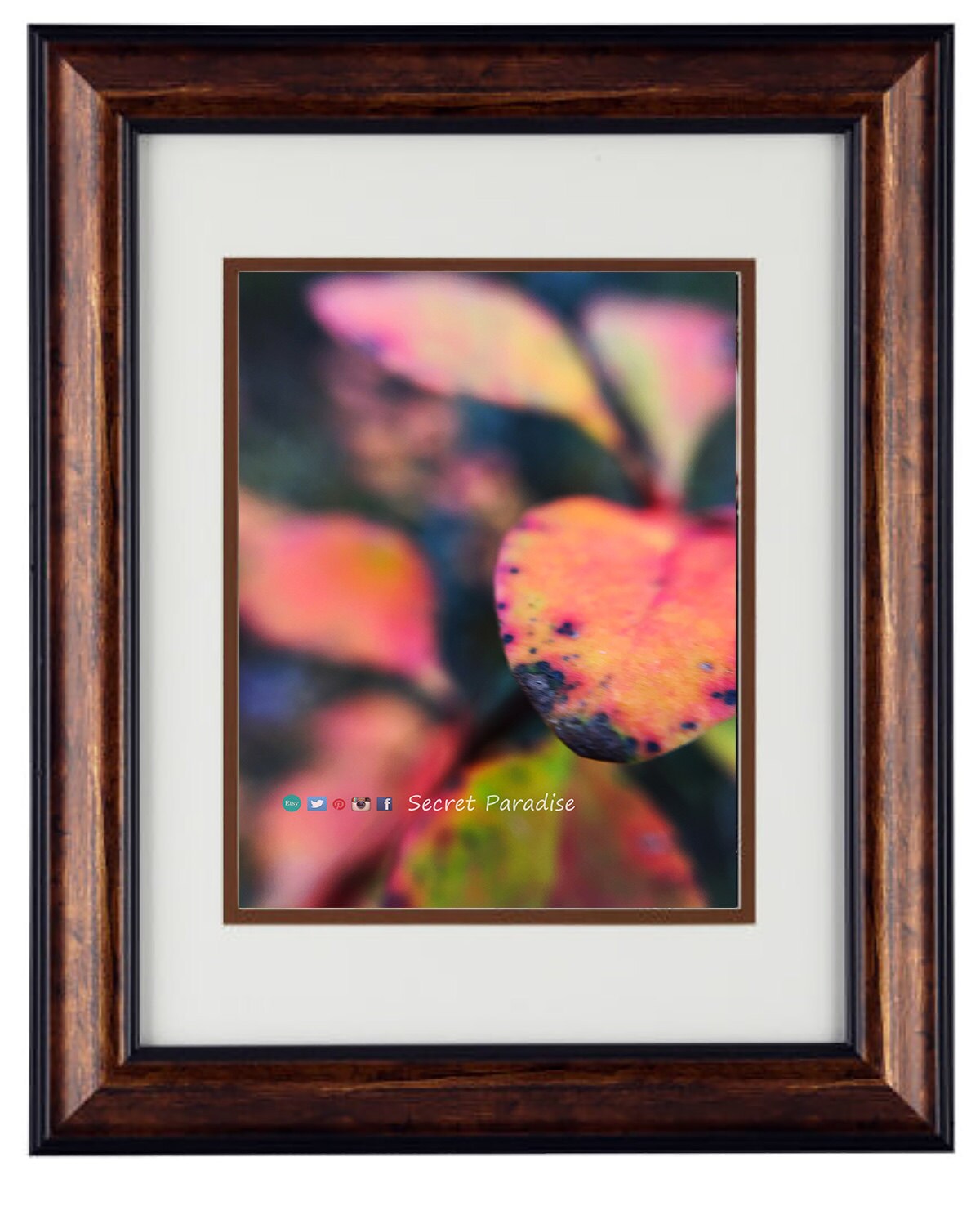 Nature Photography - Hardwood Wall Framed Art from a Secret Paradise