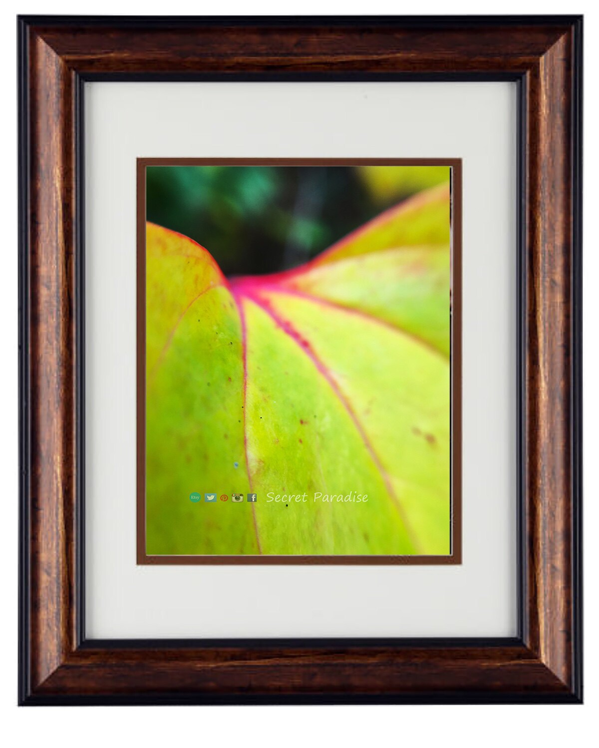 Nature Photography - Hardwood Wall Framed Art from a Secret Paradise