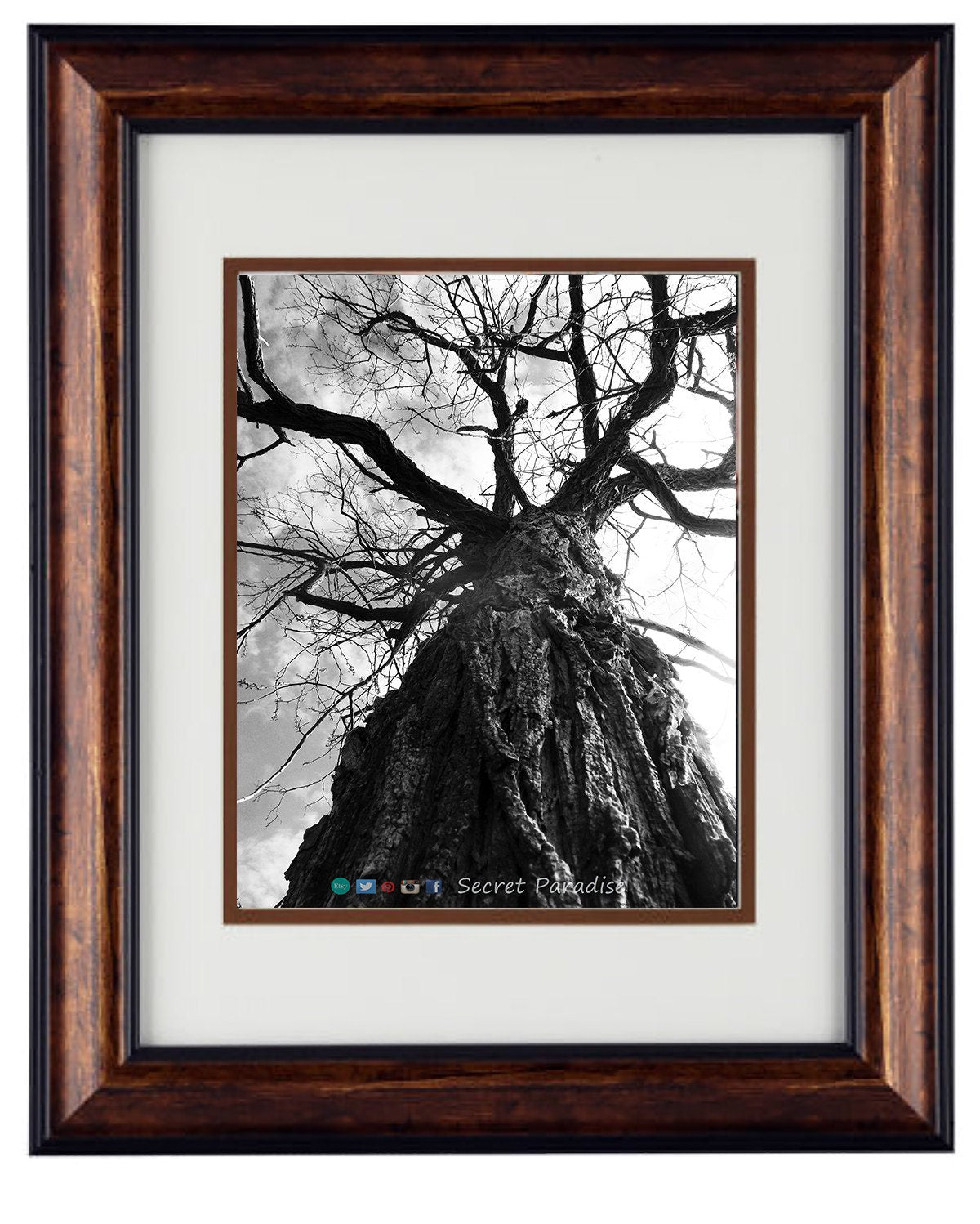 Fine Art Photography - Hardwood Wall Framed Art - Secret Paradise Trees