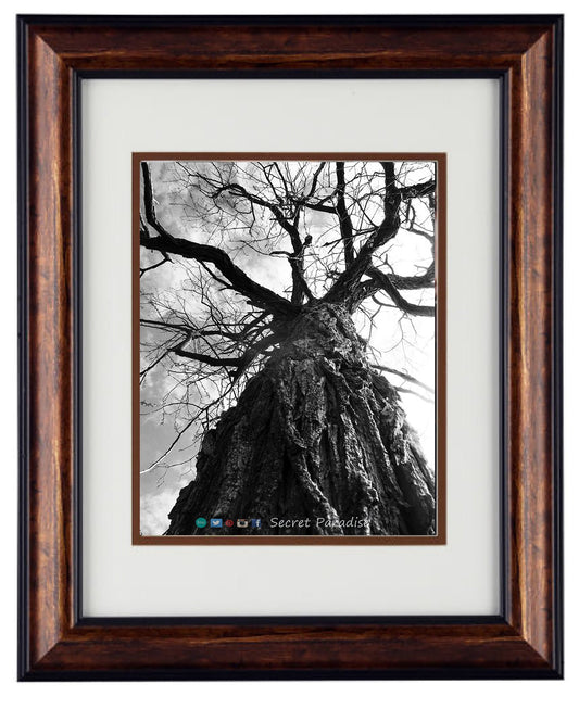 Fine Art Photography - Hardwood Wall Framed Art - Secret Paradise Trees