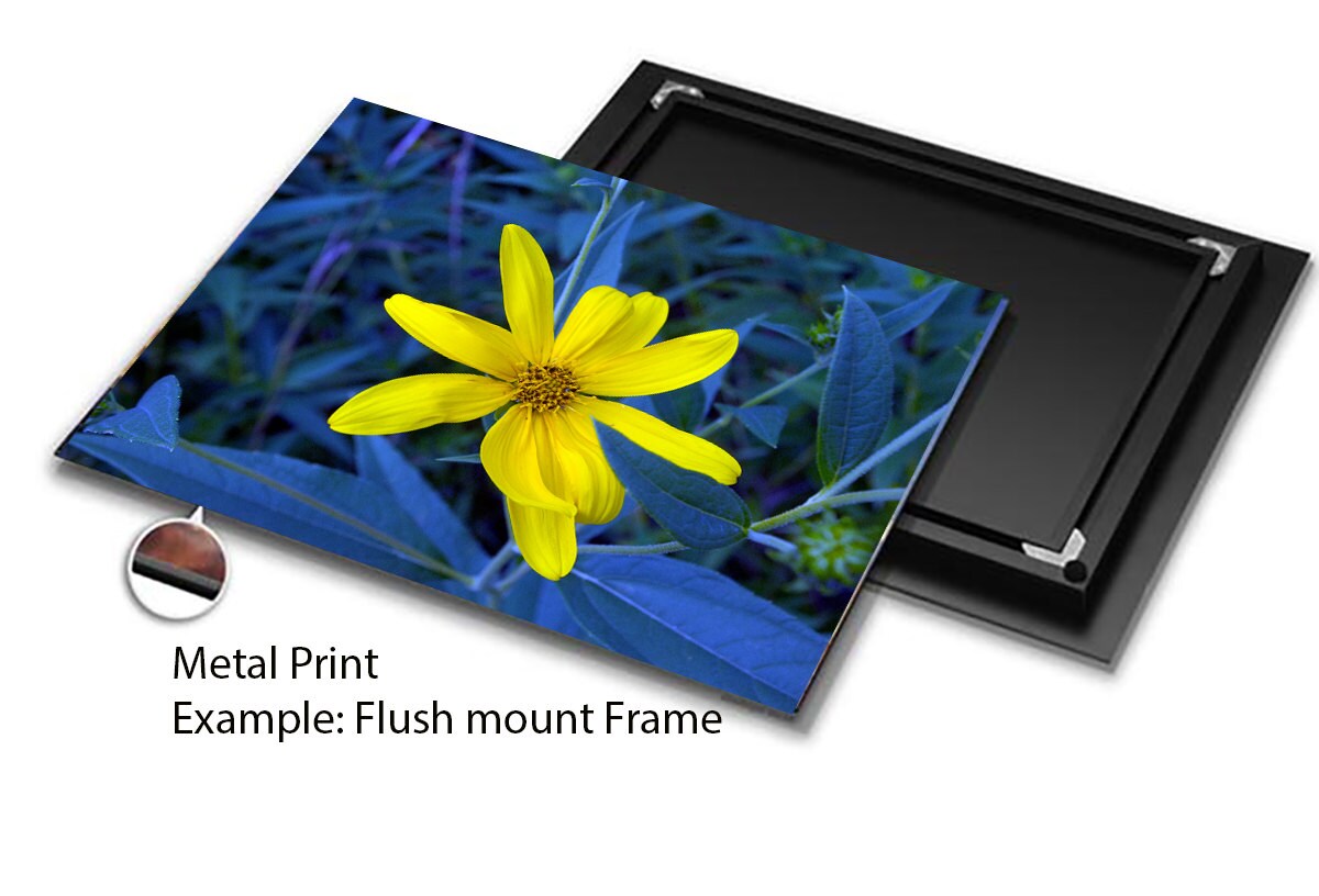 Canvas - Metal Wall Art Prints from a Secret Paradise
