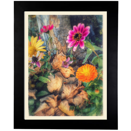 Flower Art Prints - From a Secret Paradise - Classic Blk Wall Frames