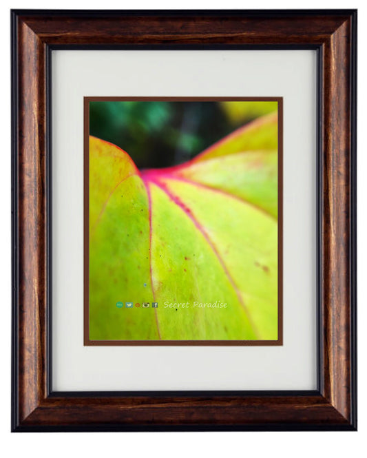 Fine Art Photography - Hardwood Framed Wall Art - at Secret Paradise