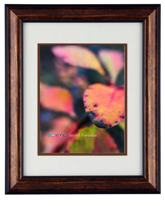 Fine Art Photography - Hardwood Framed Wall Art - at Secret Paradise