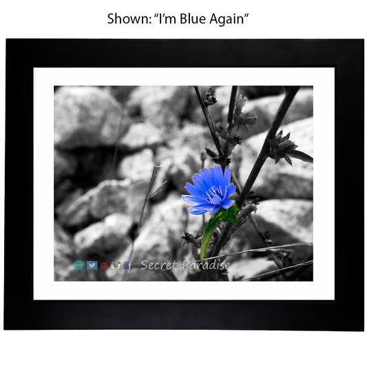 Art Prints from a Secret Paradise - Classic Blk Wall Frame
