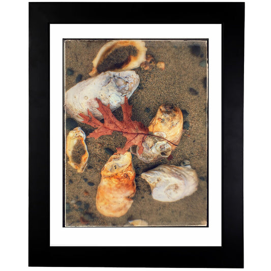 Art Prints - From a Secret Paradise - Classic Blk Wall Frames