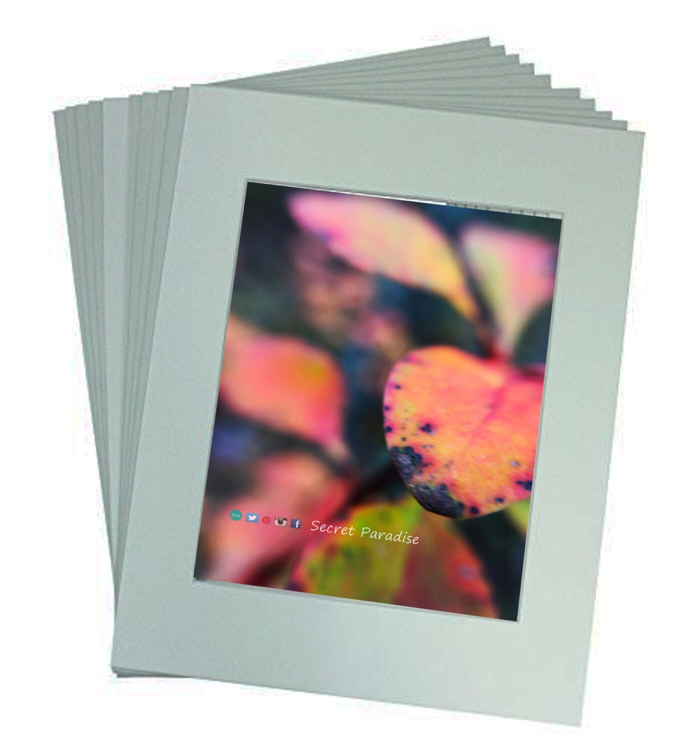 Nature Wall Art Prints from a Secret Paradise Garden
