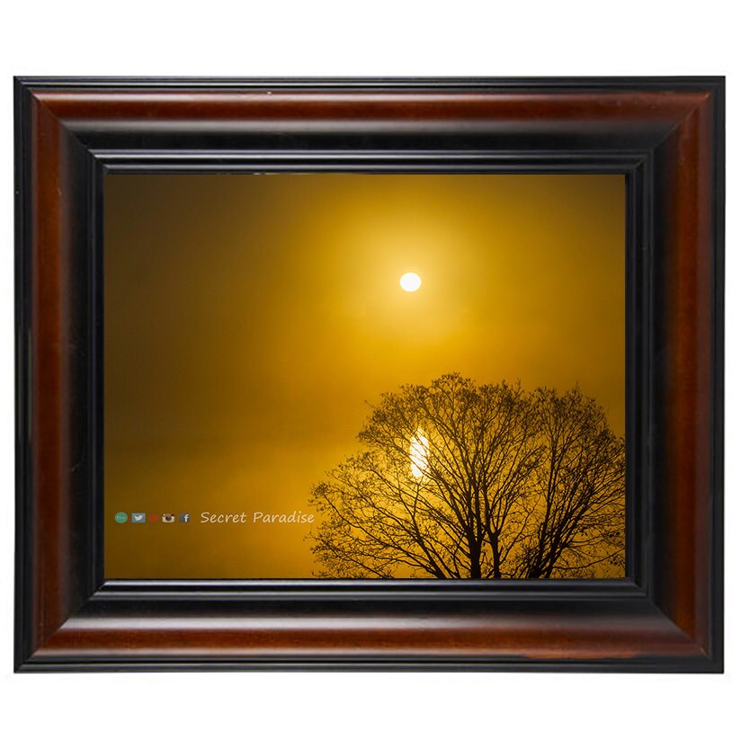 Tree Art Prints - From a Secret Paradise - Wall Frames