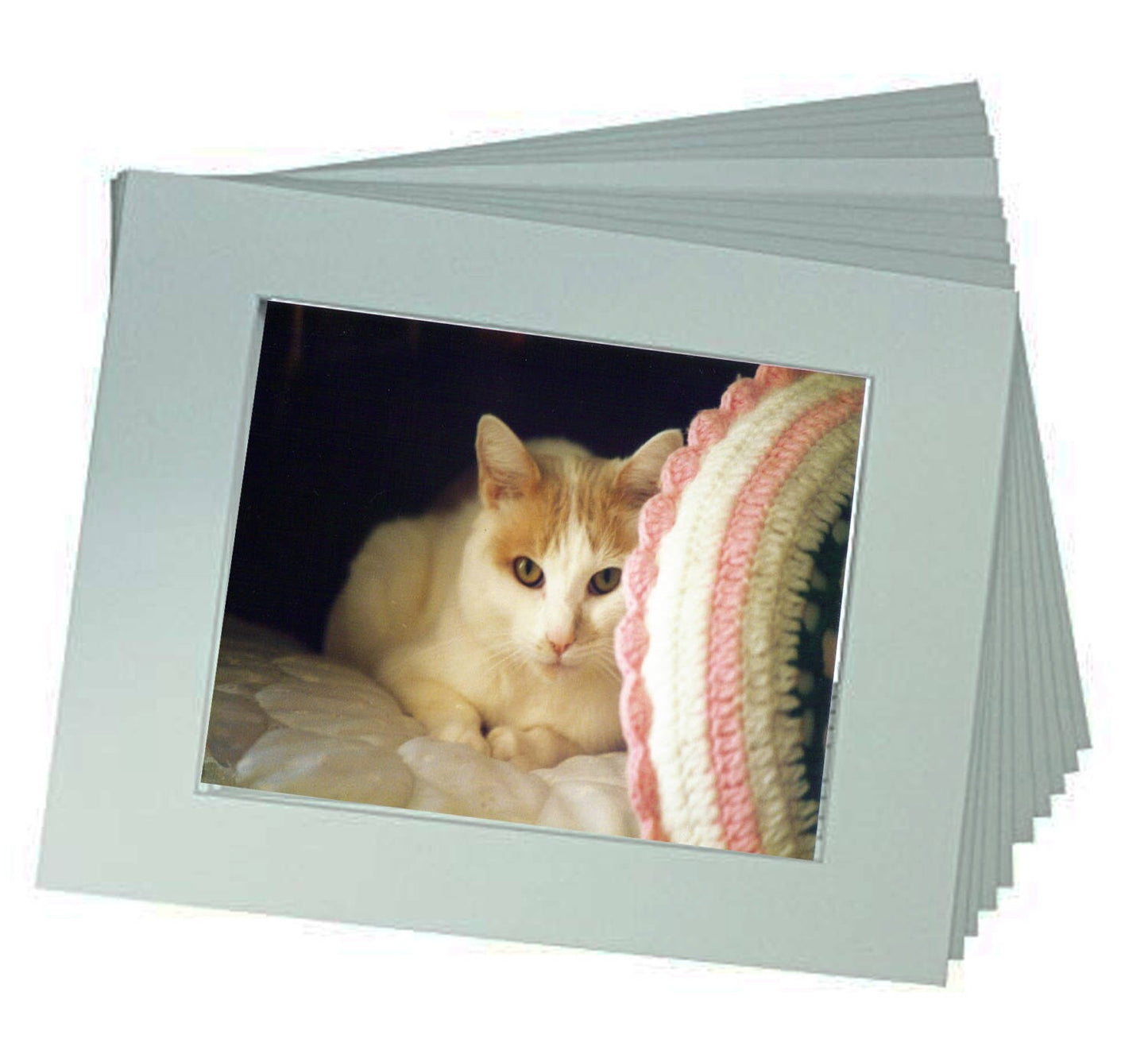 Cat Prints from a Secret Paradise Shop