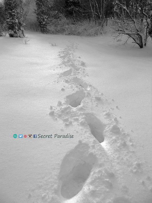 Fine Art Prints - Winter Wonderland in a Secret Paradise Garden