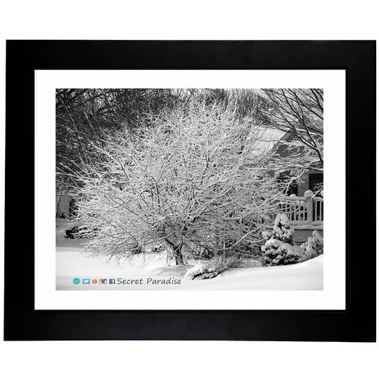 Winter Art Prints - From a Secret Paradise - Classic Blk Wall Frames