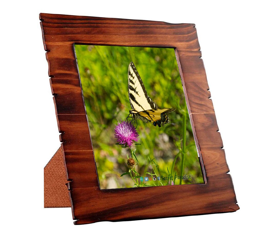 Framed Art Prints - From a Secret Paradise - Burnt Driftwood