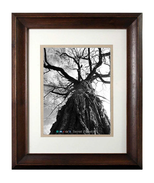 Art Photography - From a Secret Paradise - Walnut Framed Art