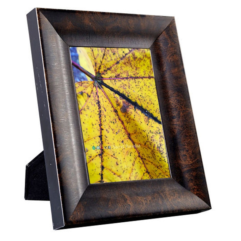 Art Photography - Butterfly, a Secret Paradise - Burl Frames