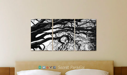 Canvas - Metal Wall Art Prints from a Secret Paradise
