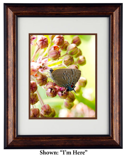 Fine Art Photography - Hardwood Wall Framed Art - Secret Paradise