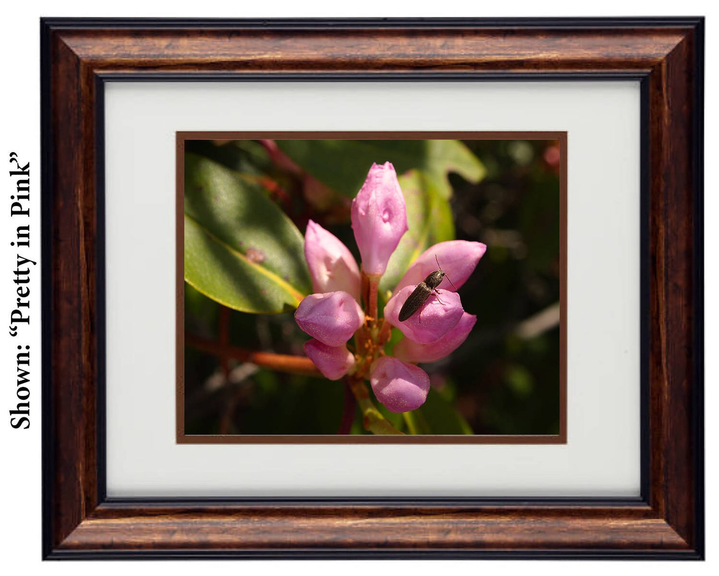 Fine Art Photography - Hardwood Wall Framed Art - Secret Paradise