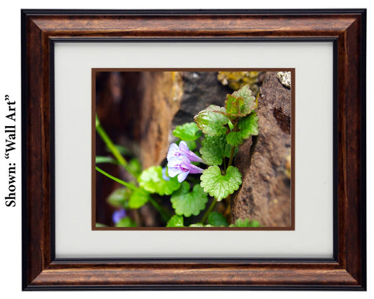 Fine Art Photography - Hardwood Wall Framed Art - Secret Paradise