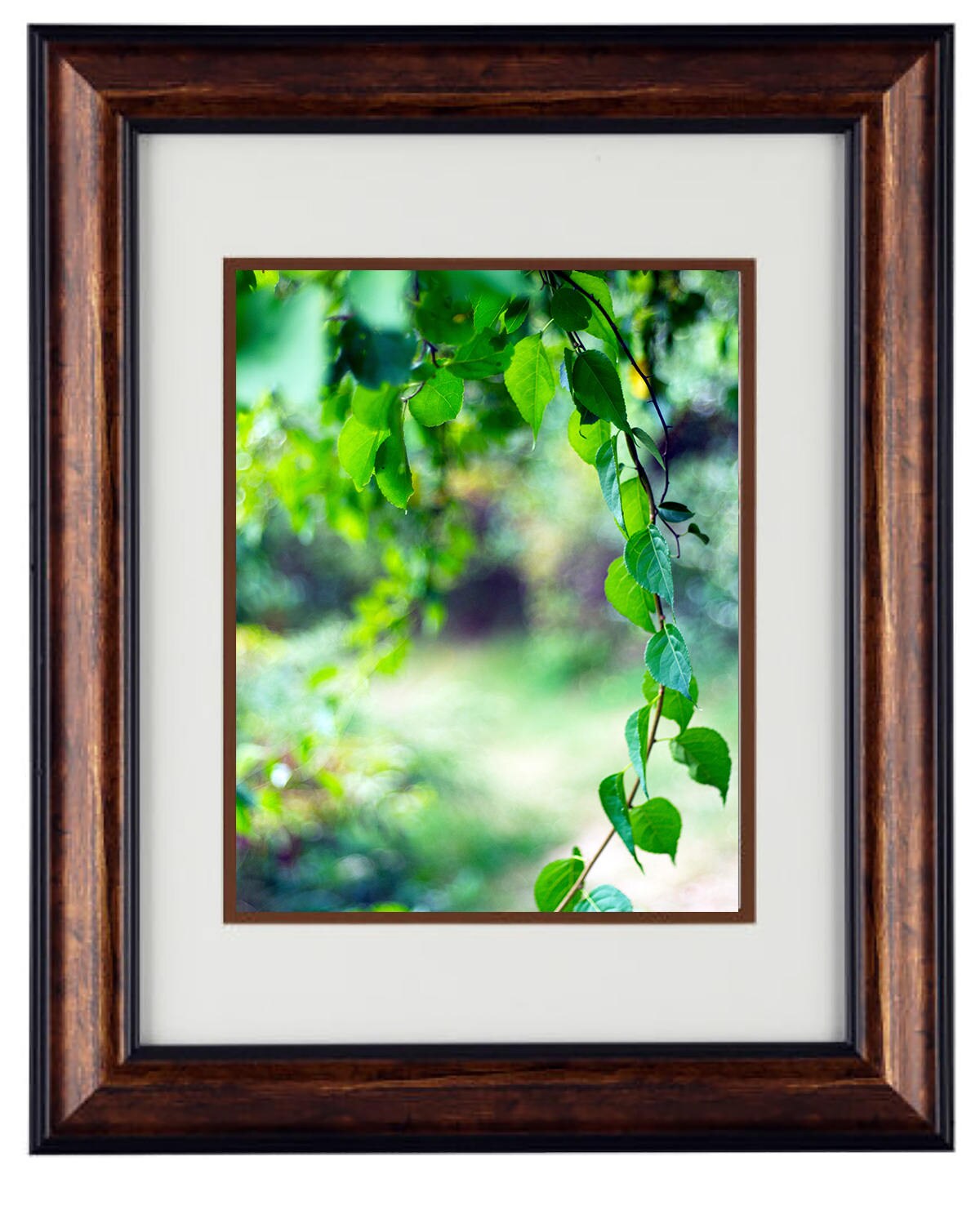 Fine Art Photography - Hardwood Wall Framed Art - Secret Paradise