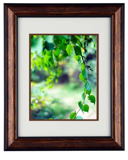 Fine Art Photography - Hardwood Wall Framed Art - Secret Paradise