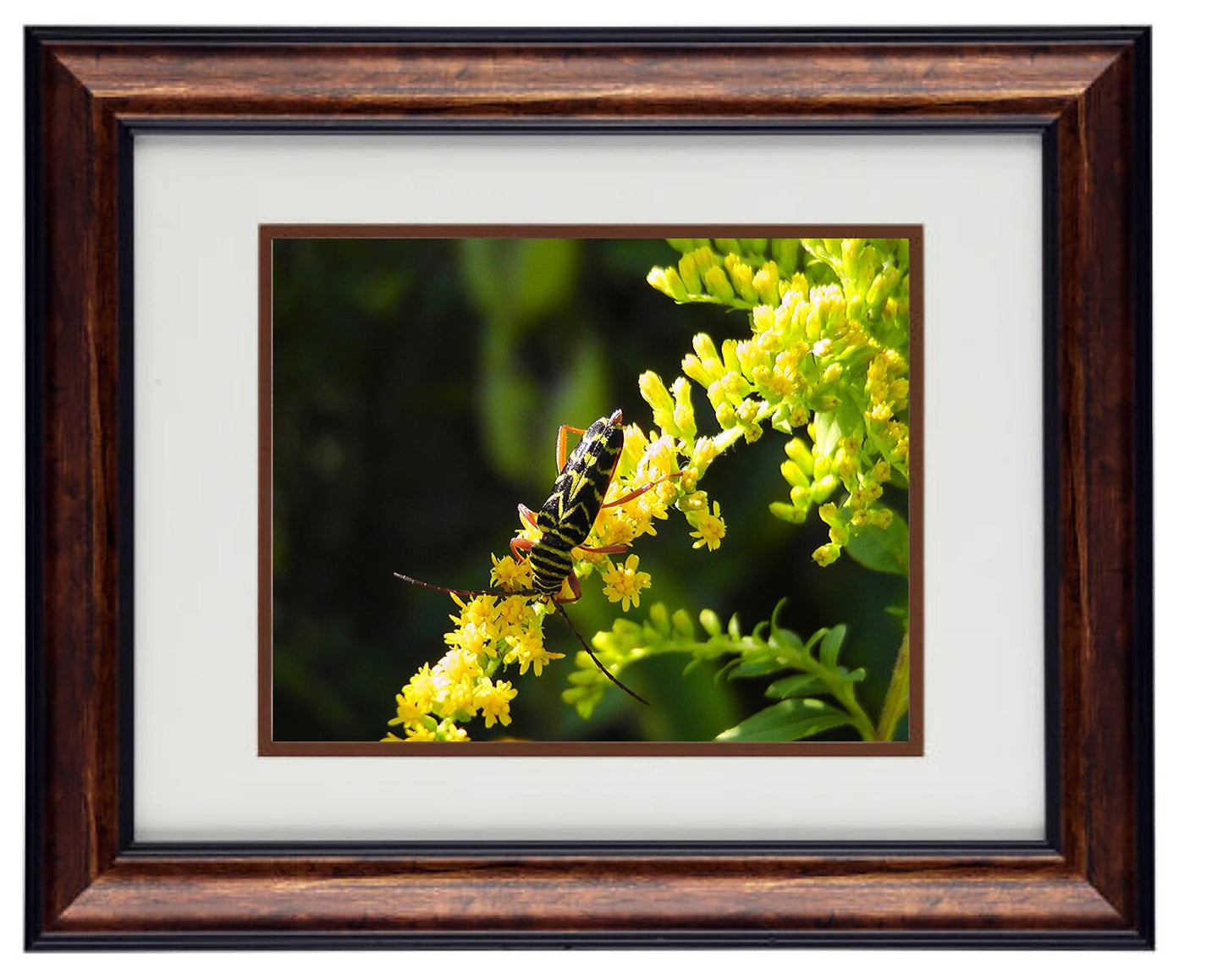 Fine Art Photography - Hardwood Wall Framed Art - Secret Paradise