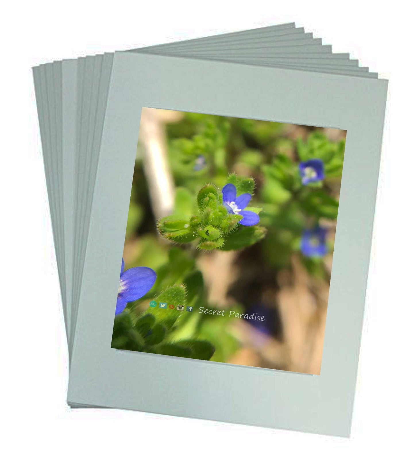 Art Prints - From a Secret Paradise - Classic Blk Wall Frames