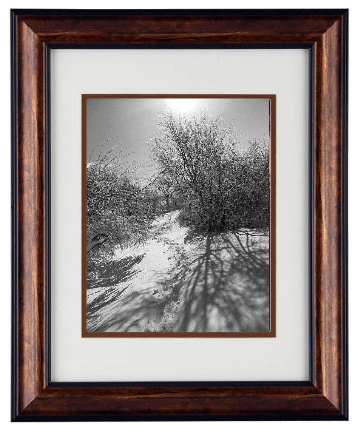 Fine Art Photography - Hardwood Wall Framed Art - Secret Paradise Trees