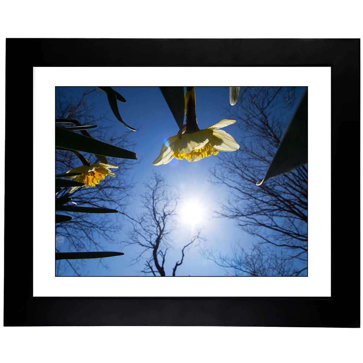 Art Photo from a Secret Paradise - Classic Blk Wall Frame
