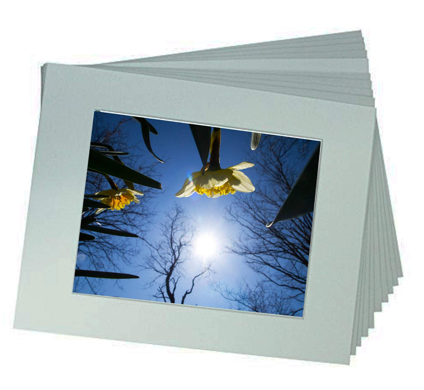 Fine Art Prints from a Secret Paradise Shop
