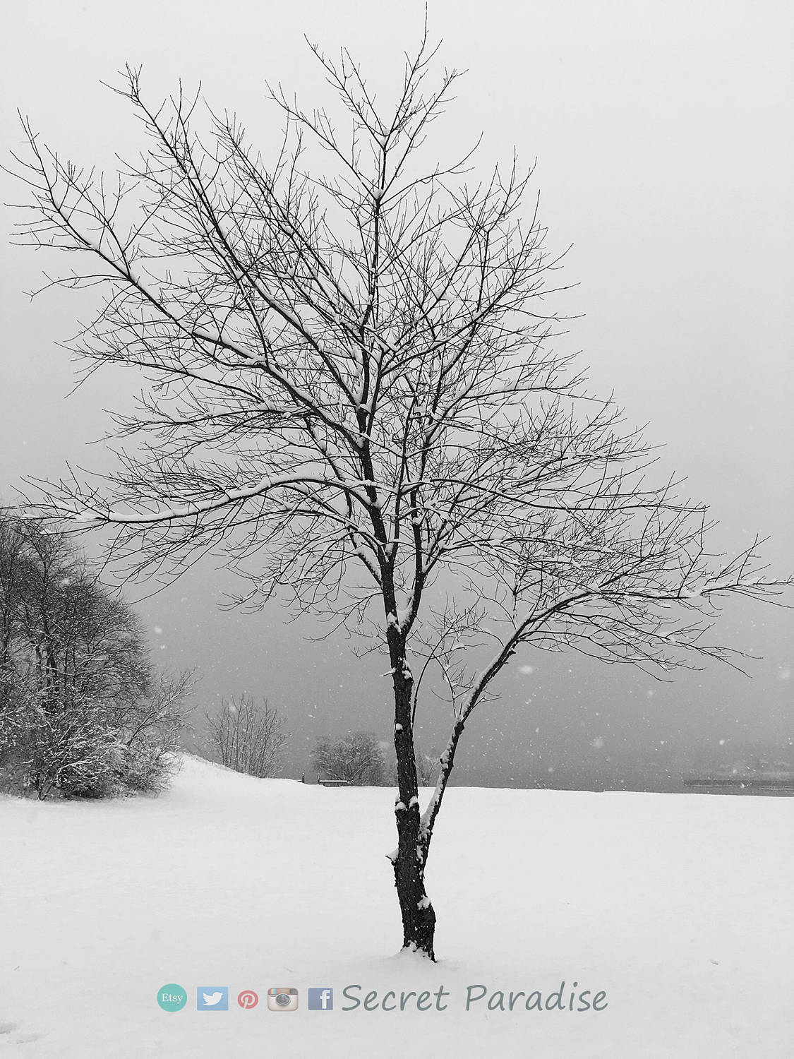 Fine Art Prints - Winter Wonderland in a Secret Paradise Garden