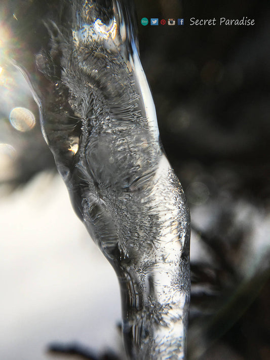 Fine Art Prints - Winter Wonderland in a Secret Paradise Garden