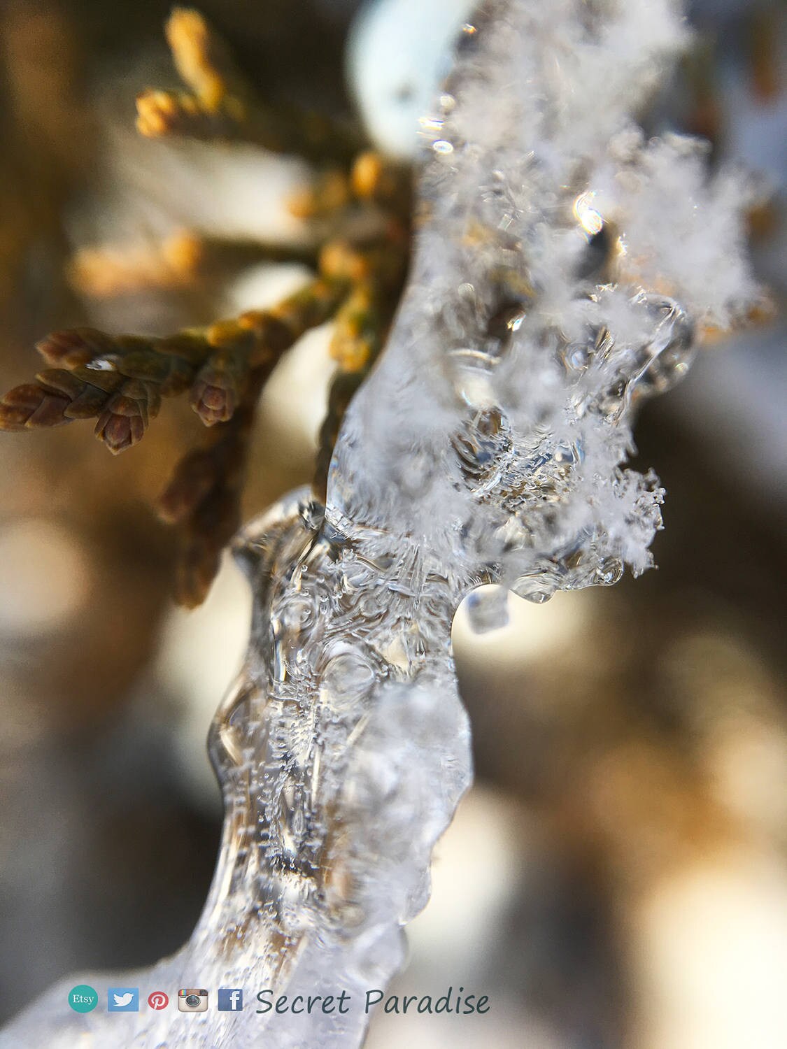 Fine Art Prints - Winter Wonderland in a Secret Paradise Garden