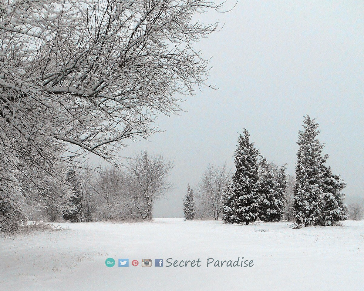 Fine Art Prints - Winter Wonderland in a Secret Paradise Garden