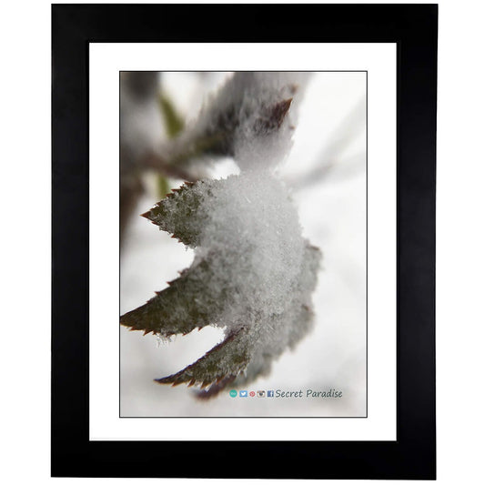 Winter Art Prints - From a Secret Paradise - Classic Blk Wall Frames