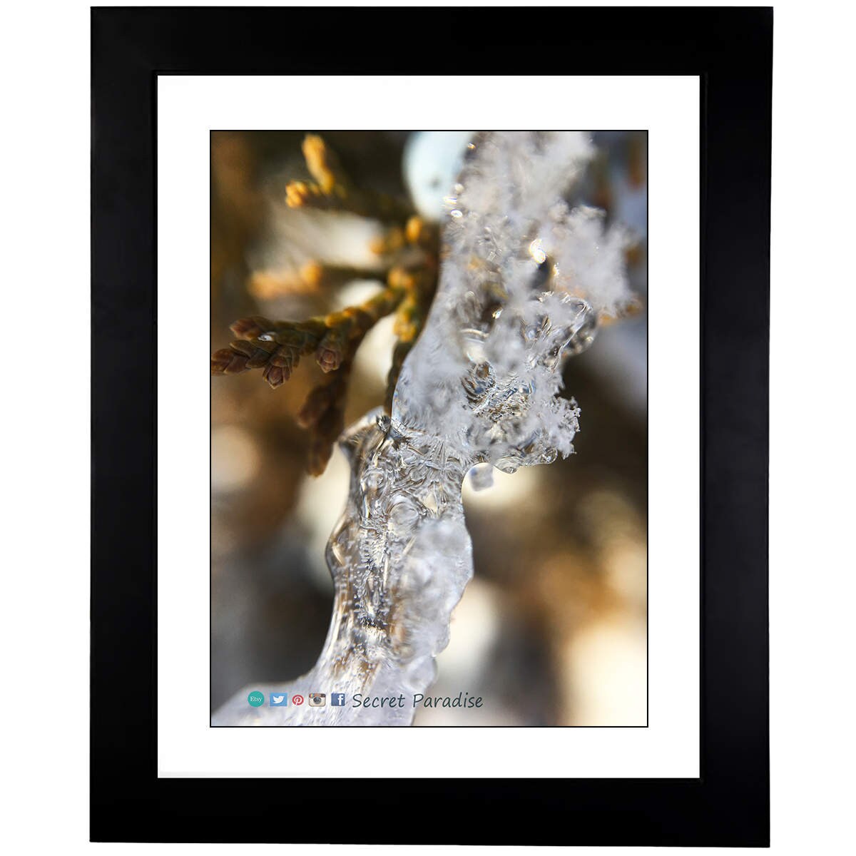 Winter Art Prints - From a Secret Paradise - Classic Blk Wall Frames