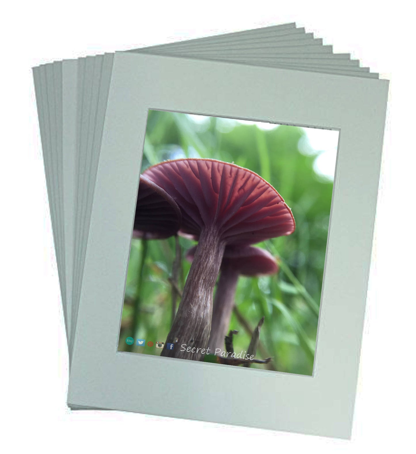 Fine Art Prints from a Secret Paradise Shop