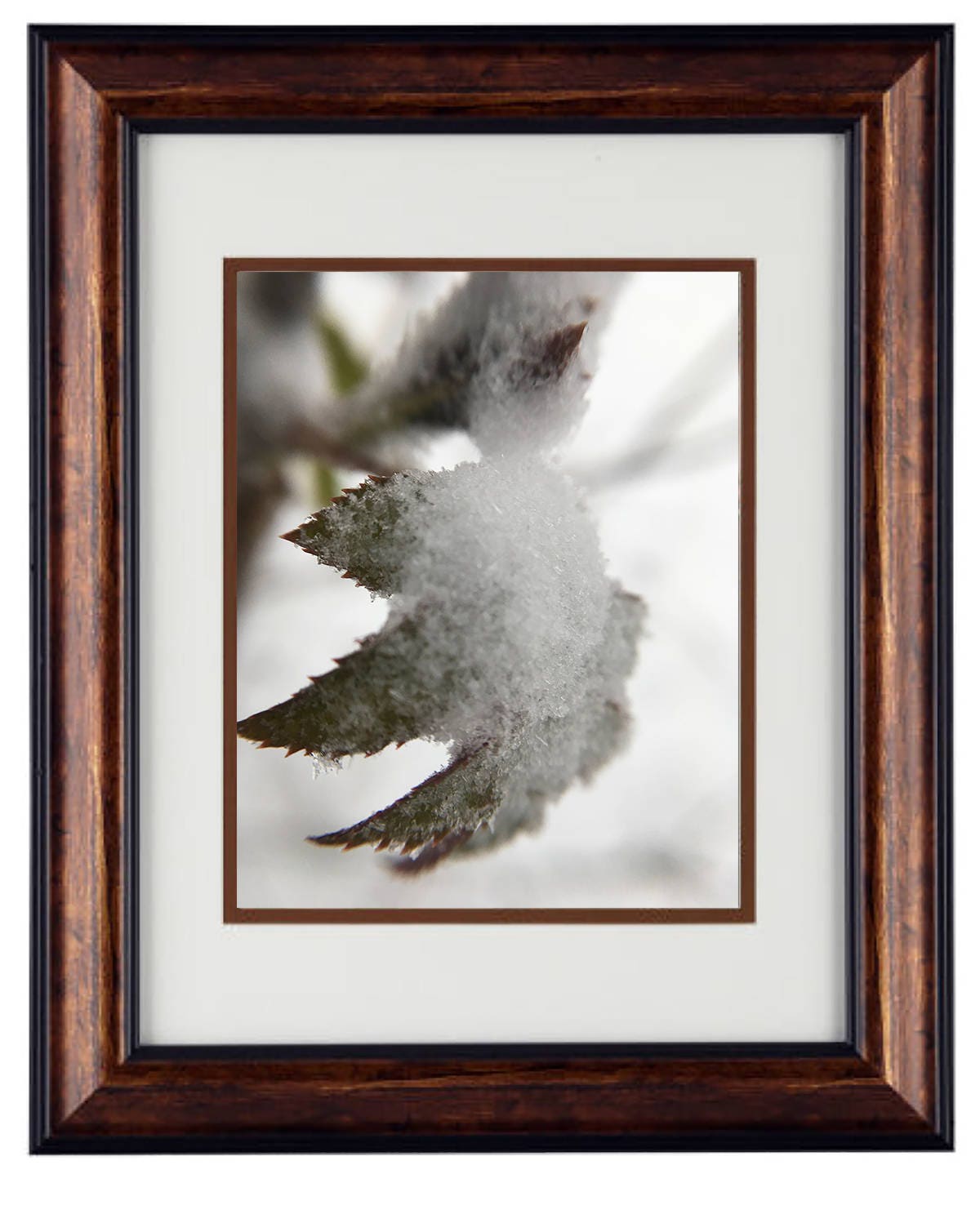 Wall Art Photography - Hardwood Wall Framed Art - Secret Paradise winter