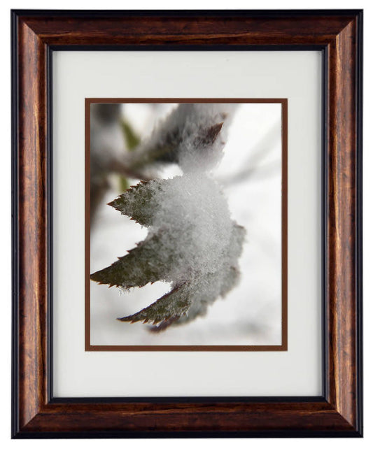 Wall Art Photography - Hardwood Wall Framed Art - Secret Paradise winter