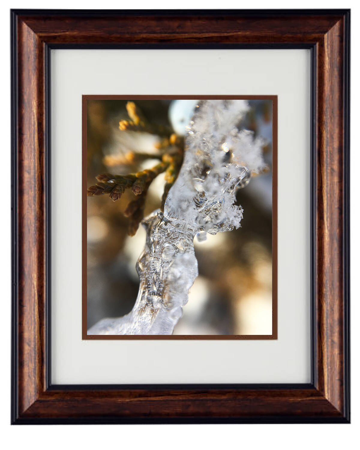 Wall Art Photography - Hardwood Wall Framed Art - Secret Paradise winter